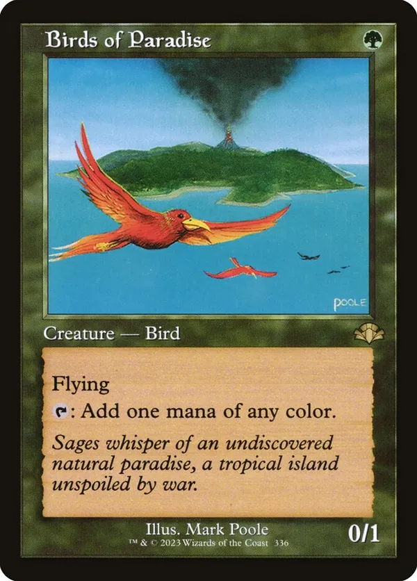 Birds of Paradise (Retro Frame)