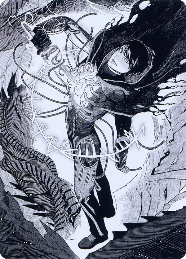 Jace, the Perfected Mind Art Card (67/81)