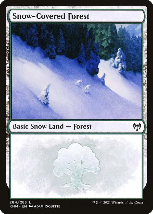 Snow-Covered Forest (284)