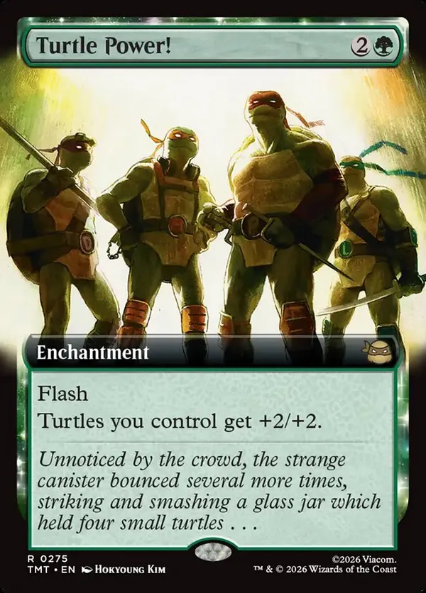 Turtle Power! (Extended Art)