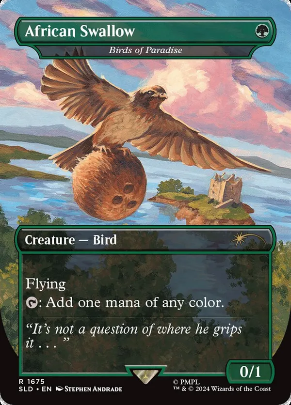 African Swallow - Birds of Paradise