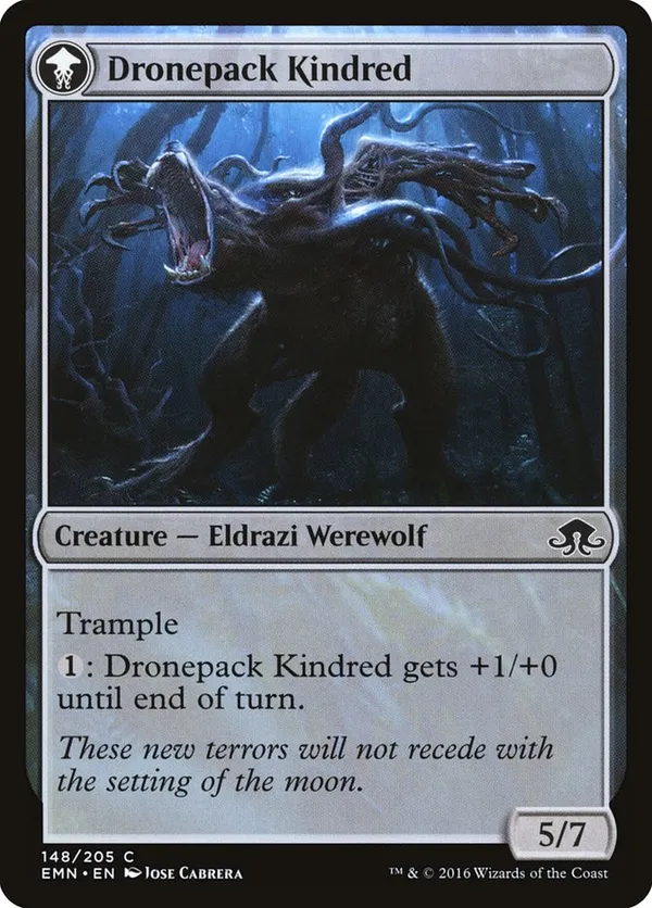 Vildin-Pack Outcast