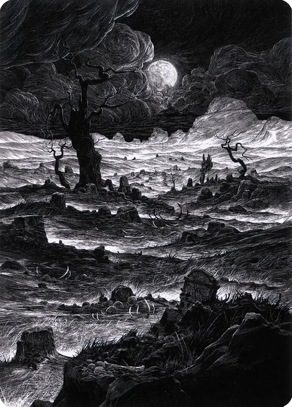 Plains (79/81) Art Card