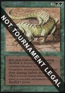 Thicket Basilisk (IE)