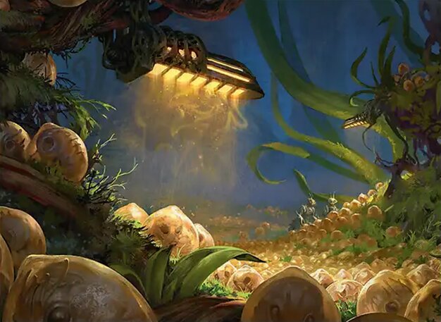 ButWhy is this card so expensive The Tabernacle at