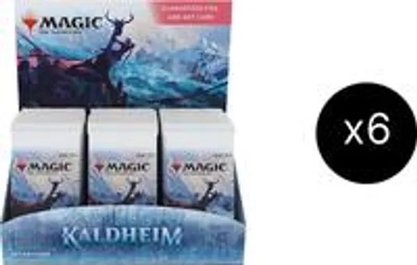 Set Booster Display Case